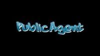 Public Agent