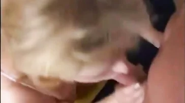 La vecina gordita se acaba liando con su nuevo vecino, vaya follada