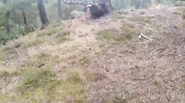 Antonia Sainz masturbeert midden in de natuur, wat een varken...