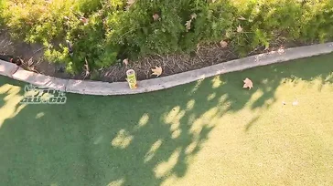 Nothing like playing minigolf with a girl who loves to fuck in public.