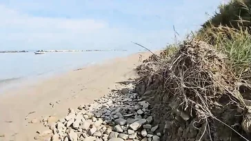Una caliente mañana de playa nudista con mamada y follada amateur