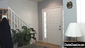 The lady fulfills her fantasy of fucking the plumber.
