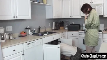 The lady fulfills her fantasy of fucking the plumber.