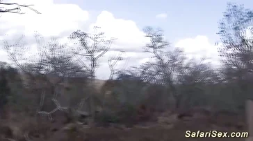 O safado vai num safári e fode uma das negras