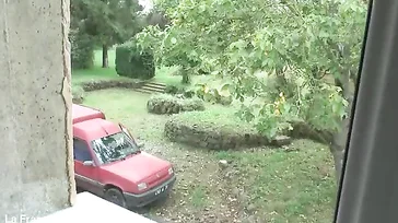 Solo un minuto es suficiente para todo esto, ¡menuda fiera!